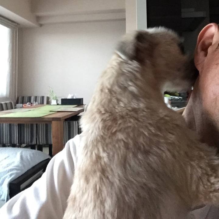 16a55d77 84df 4eaf 852f f4e705cab349 1562764403365