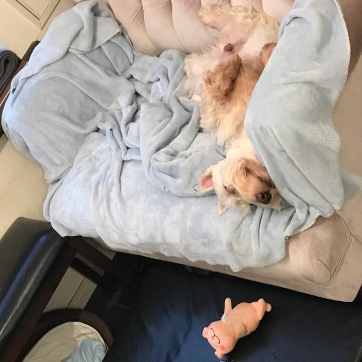 16a58744 3c58 4852 9a3d f10bdf2e79e4 1600488710085