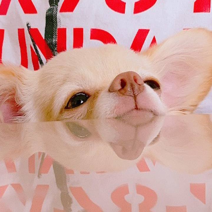 16a5922f 11ff 408b bdca 6fd9da2ae48a 1630154311487