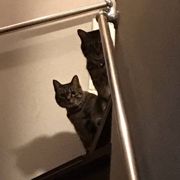 16a592d2 712d 4b78 998c c399e77d79c6 1575904764907