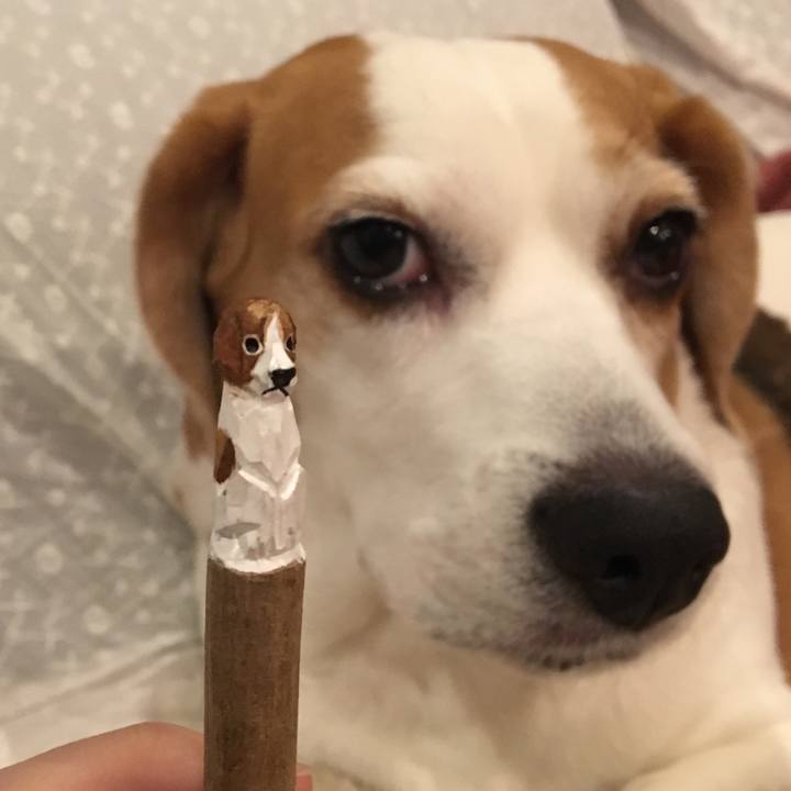 16a5b77c 1af5 4051 92fb 6dad204566af 1520655012301