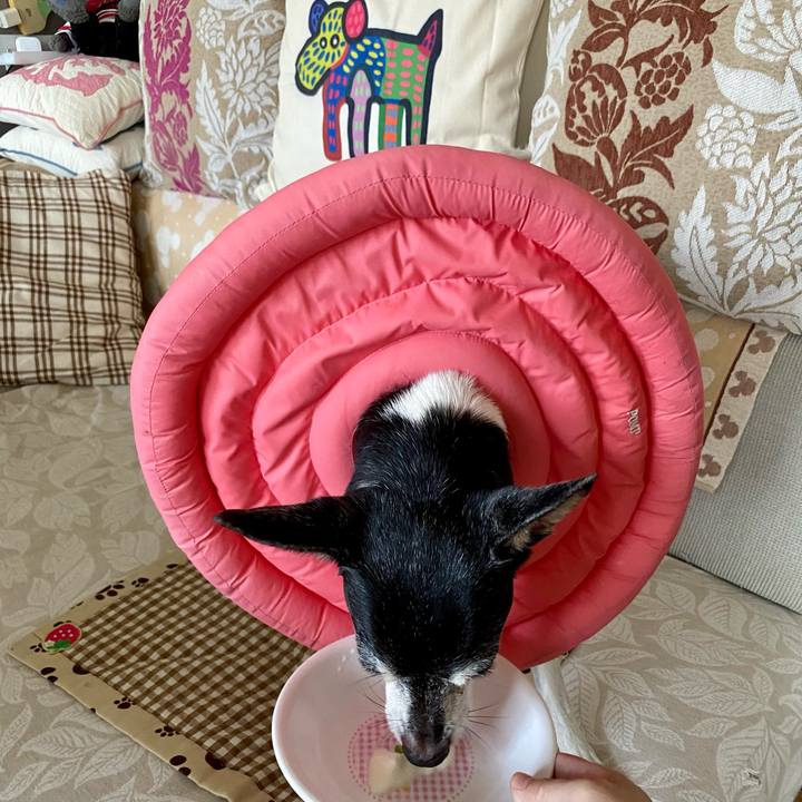 16a65af6 db51 455f 88e7 e6ba388fdef2 1632175827204