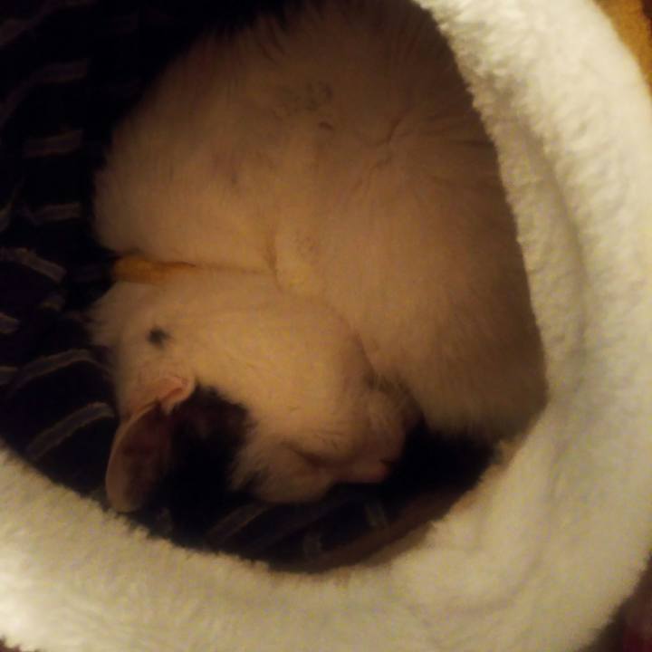 16a65c56 73bf 4b54 a2bc 8bcfb4a9c46c 1551538028116