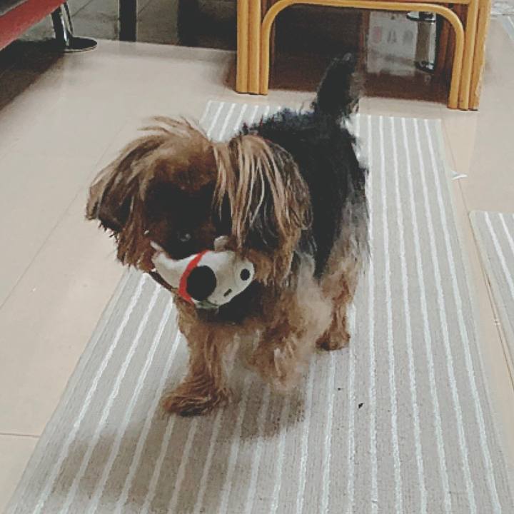 16a66c09 3a12 443a 89e4 aee5dd3a3544 1582701172701