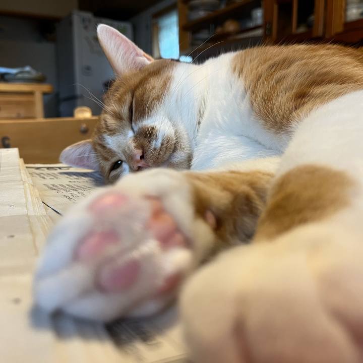 16a67d1f 1249 4566 88a6 8817c017ca64 1685747203989