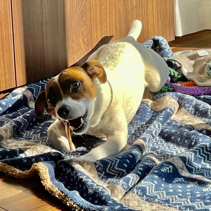 16a6831f 28d1 4755 985d 18cd7e126889 1642817361897