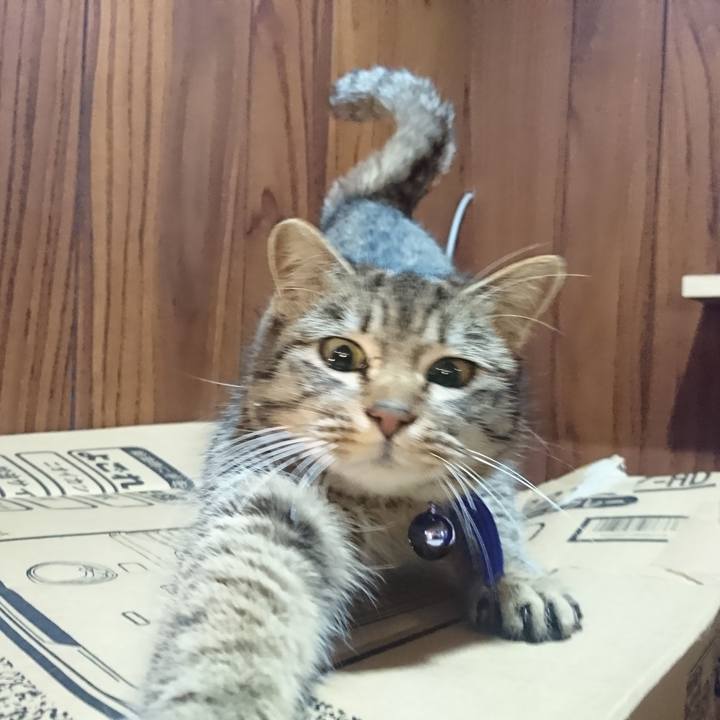 16a69fce 11c1 4d2d b224 44c844c36792 1549903329631