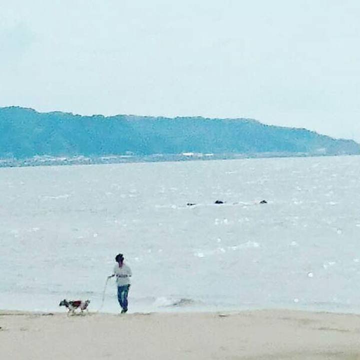 16a6a104 26e1 4688 b7a0 dfed10e2fd26 1535883542457