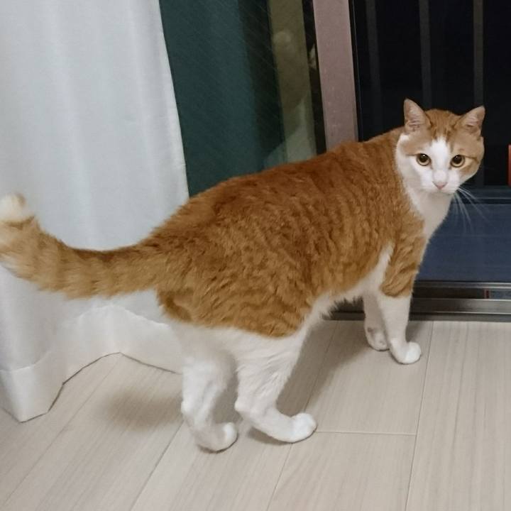 16a6c982 5b9a 44d6 ad8d fae54badb058 1531746158193