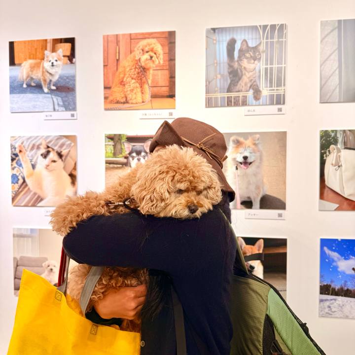 16a6ce7b 8b80 4f4a a2df 5c171f9f5b12 1762211164063