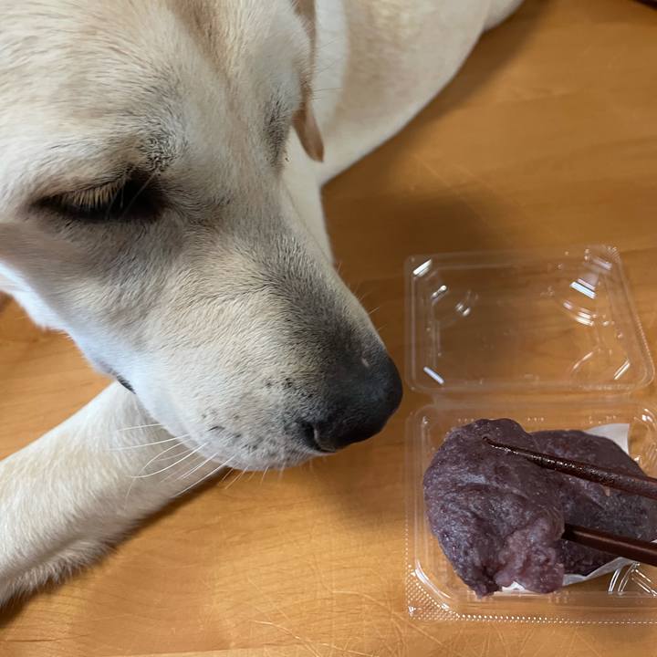 16a6de82 26ce 4ba1 bb4e fb40aef45326 1629127536860