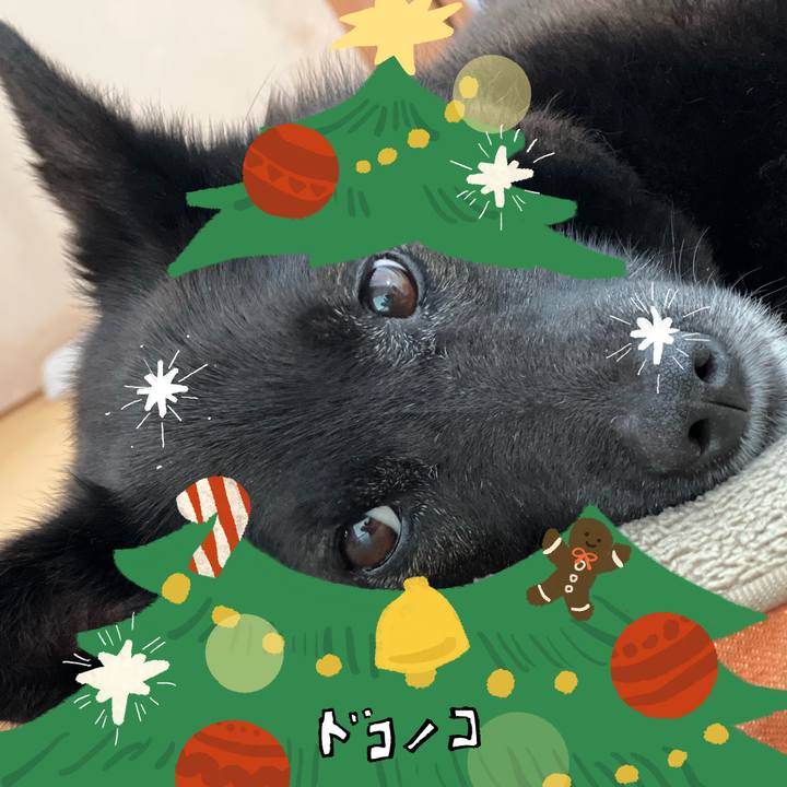 16a72c45 6f68 436f b06a 2042286d9db7 1761523367338