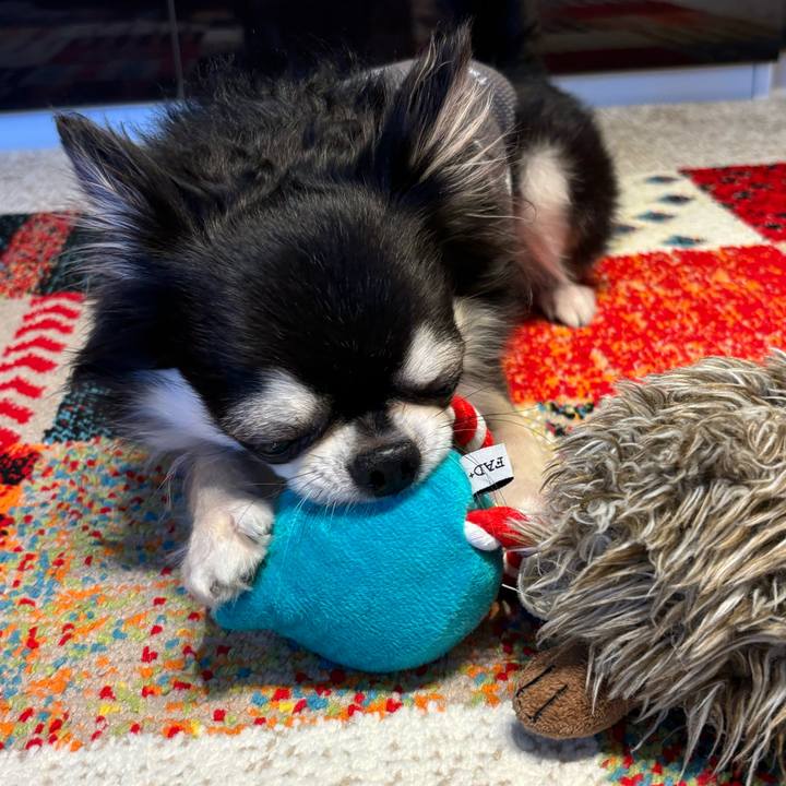 16a72e7d 7c09 4b95 a8ac 87384fe88861 1728837217312