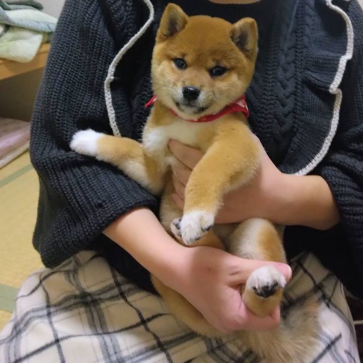 16a73872 c70d 42b2 89bf 6e3517b76aff 1763540634583