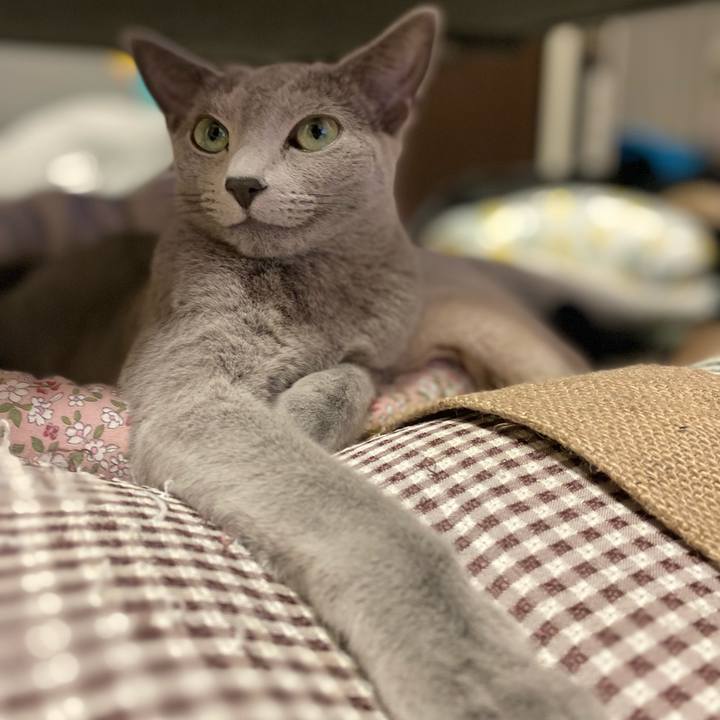 16a7394c ae66 4d04 bcaf 4c1dbaf18196 1634557531759