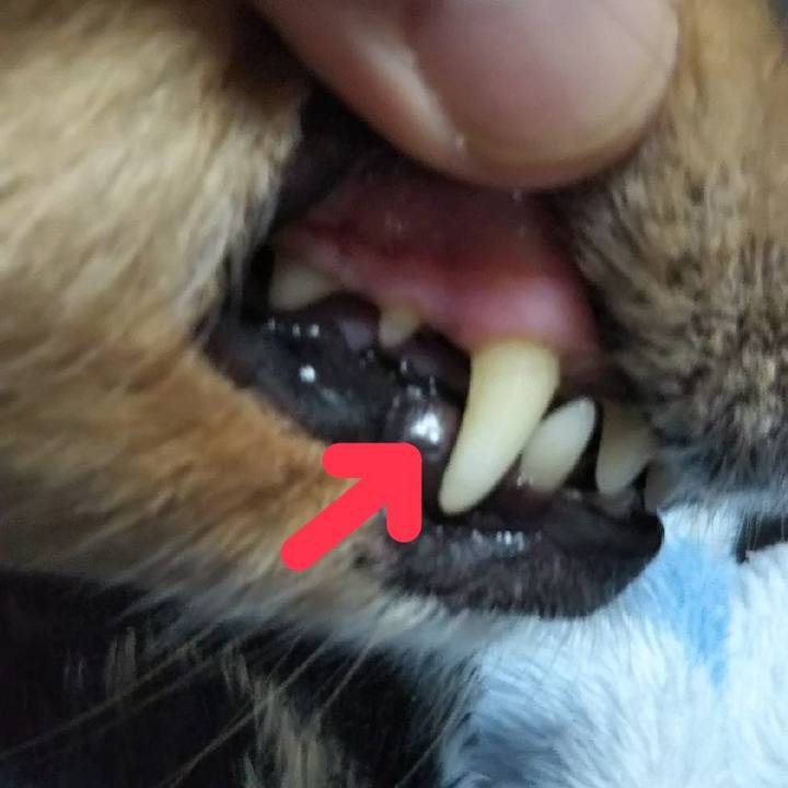 16a7456c 9dbf 41e4 9164 303e308a6836 1603876040813