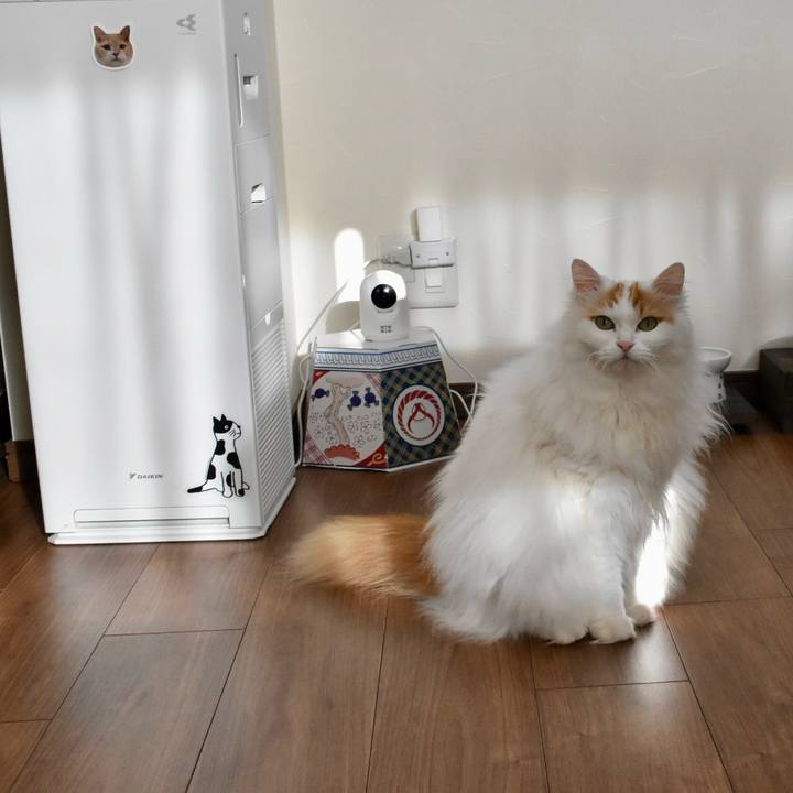 16a74f33 e035 4d69 b148 39e9e57a401c 1768178281977