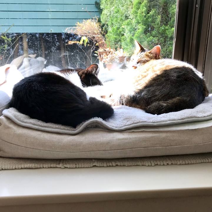 16a771b0 ab93 4077 bbd7 f84f8fd5a322 1520843989968