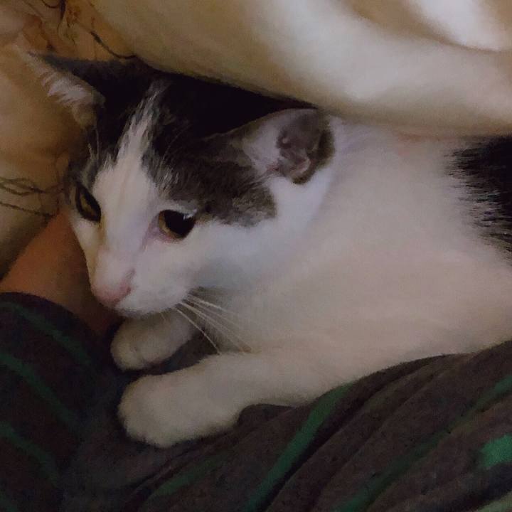 16a777bc 28cd 4883 8ba1 3a3e133d835b 1578126864203