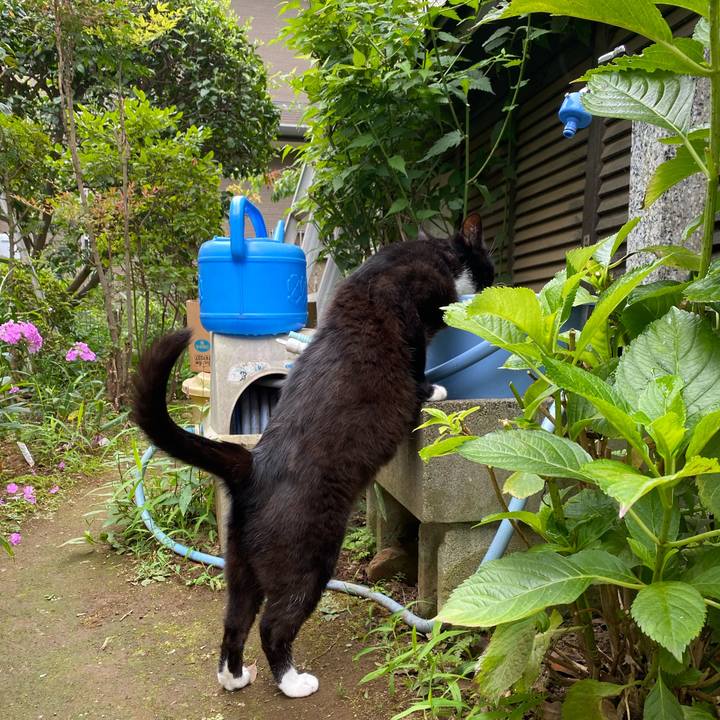 16a7d2d3 9796 45d2 b2f5 3a30362abd6c 1689216392477