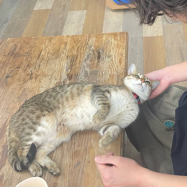 16a8041c fa71 4ebc a885 67bf5e534bac 1742689593740