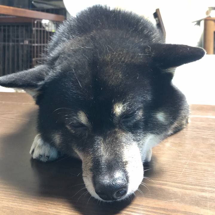 16a81020 94b4 4aea a0d4 9fd456e27b19 1542364823526