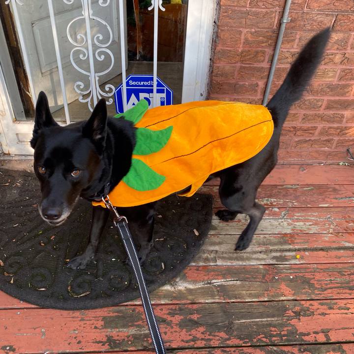 16a85746 cb07 43d1 a55e 3122cec213ac 1635693712639