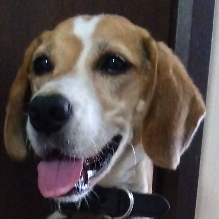 16a86a70 bafe 48f7 a599 cbebec12337e 1694779695891