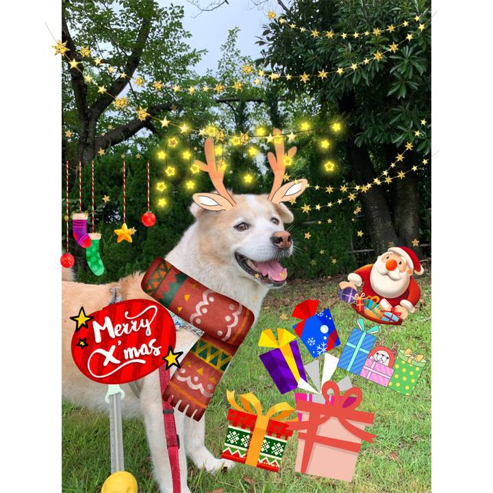 16a899cc 0884 4993 b512 b3b8696abeac 1640334058466