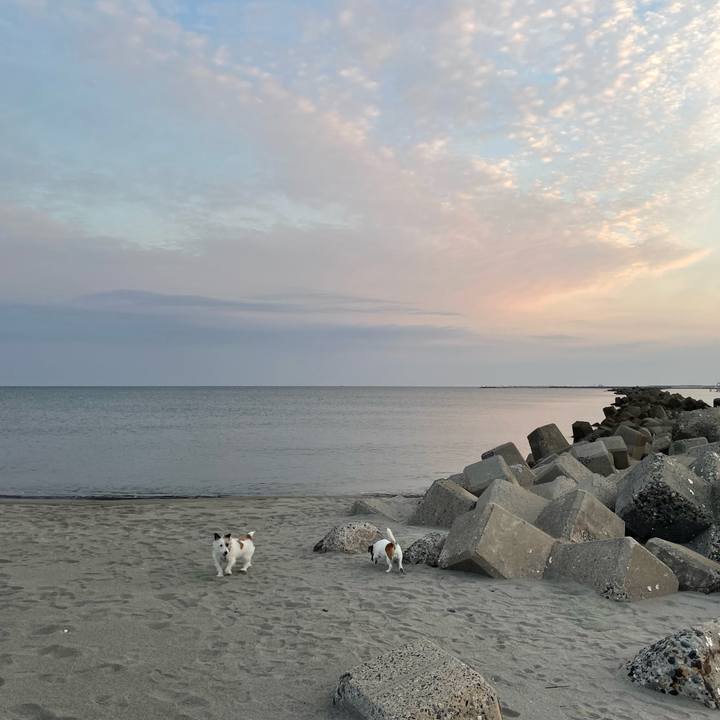 16a8eb7a ac5a 447a 9ad5 a849ab4580ba 1699054129888