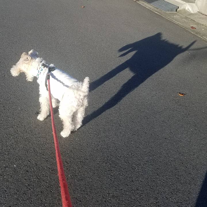 16a92129 fd84 4d3b 8d94 9b37013ddd51 1600038775191