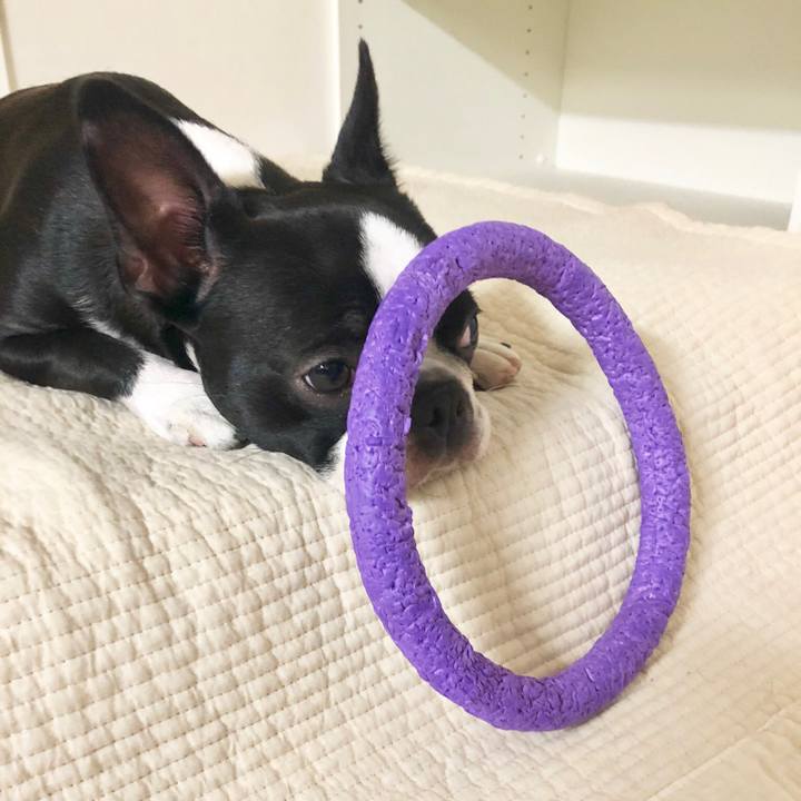 16a935ea d8c1 43a4 8fc1 b77f0022ce14 1531996776114