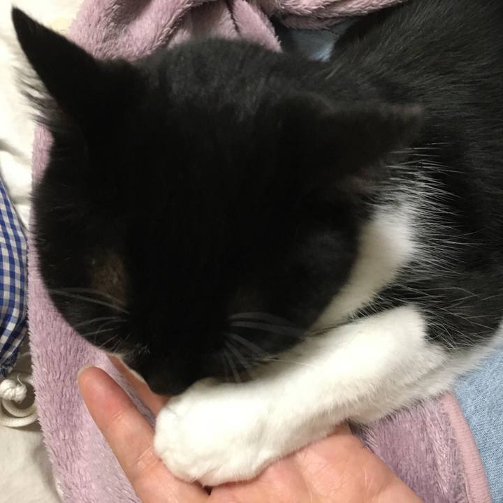 16a96daa 207a 448a a088 ffb9cb87fda6 1583761002839