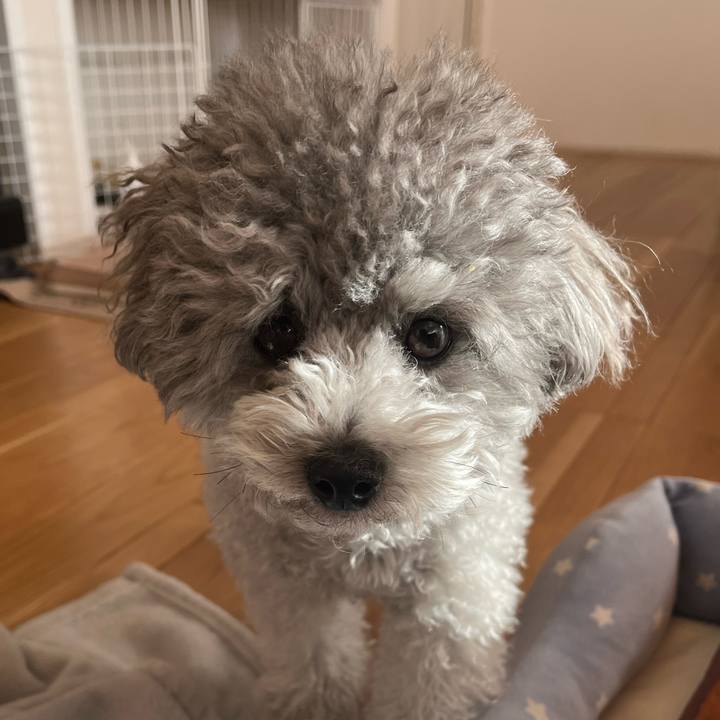 16a9924a 446d 47c3 ad9f 823d94394bf5 1769040846970