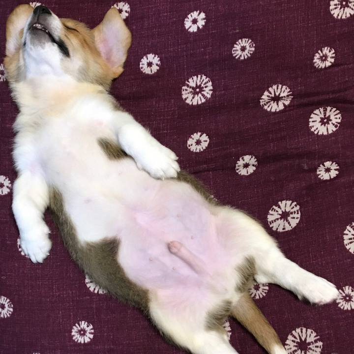 16a9bf50 8b77 44f3 a441 5aae6318974d 1589456886498