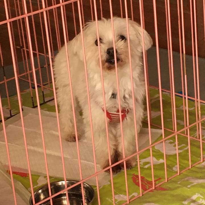 16a9c16f 0f46 47d8 a2d4 536ef4fdc031 1616831734514