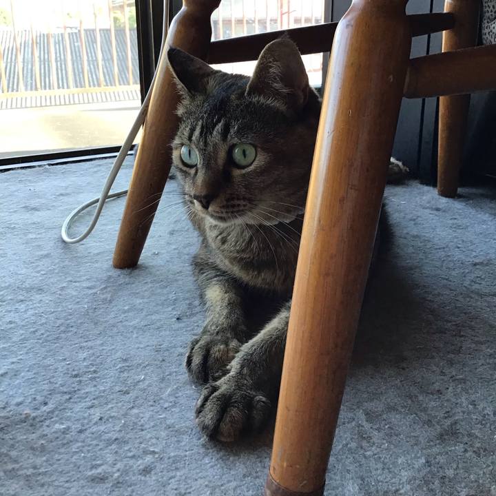 16a9dfa0 8329 4e7f 8c34 5ce412601da5 1687009743525