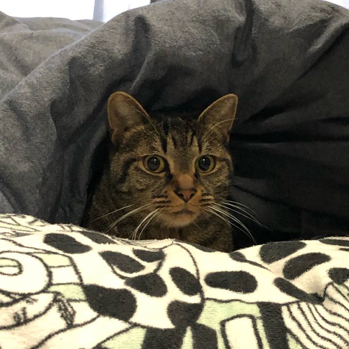 16aa5969 e564 4825 acb9 7594125afe99 1545550352247