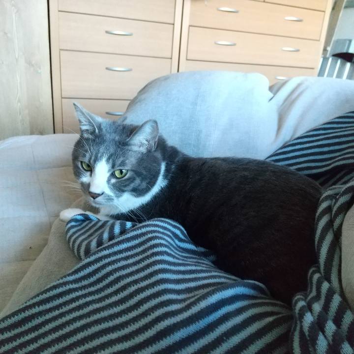 16aa5d7a 8352 4e8e 887f 4e9222510ed0 1611877875528