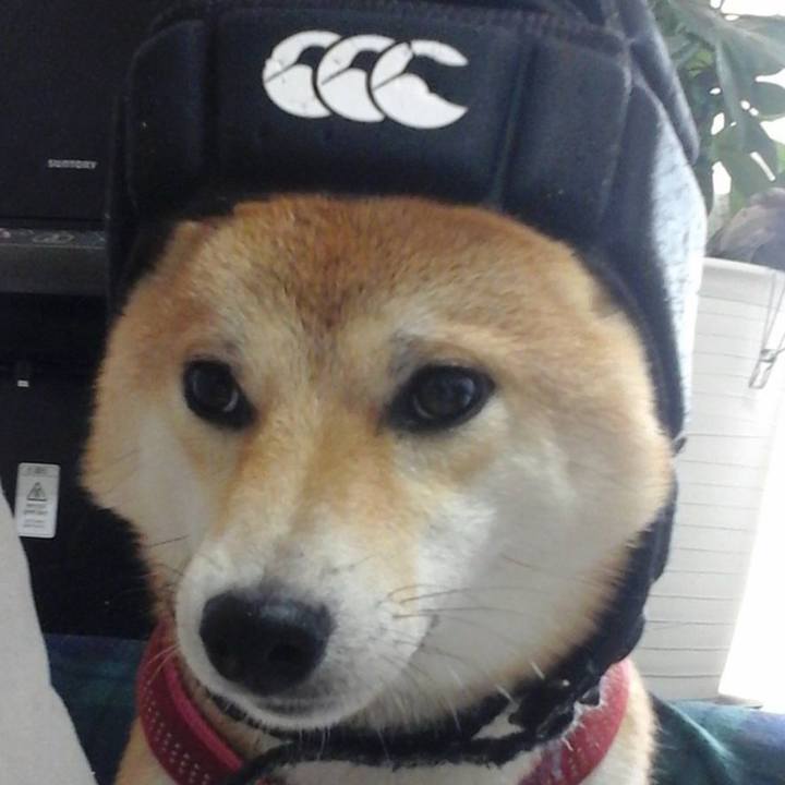 16aa681f 1ef5 4a6c 99ef 7e9907544efe 1742590927158