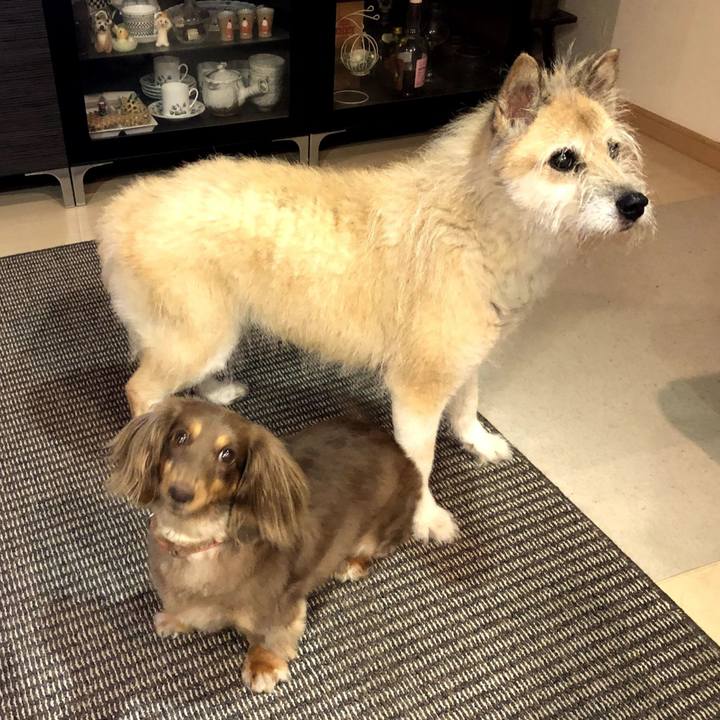 16aa8443 c7d9 45b5 8244 d98378fe1a22 1601167069266