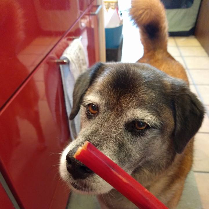 16aab20a eced 44ed a119 b0bf33258df8 1529637280653