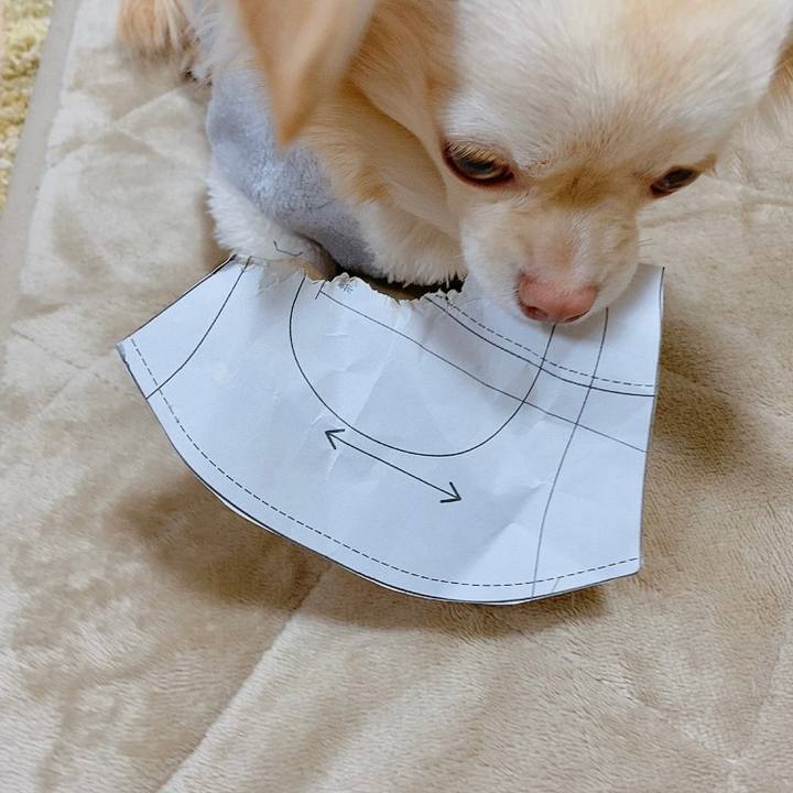 16aab22f 407a 450f bbd2 73da83527c25 1613381802640