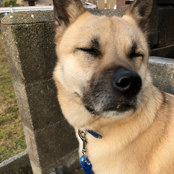 16aacf3f 61c9 49cd 8340 dde6283a78b8 1553687160870