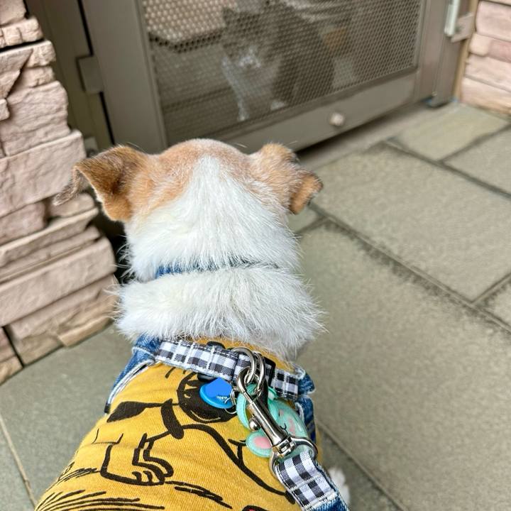 16aae449 fec7 4b07 8a49 34279ee93097 1749724803410