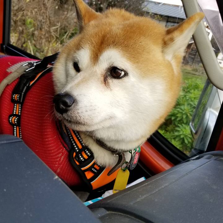 16ab0ef1 b9a9 475a b78d 203fd11a5d9c 1606973634799