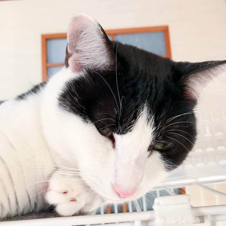 16ab535d 38c3 4515 8444 8eaa324ced14 1512812465710