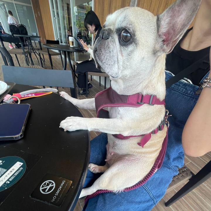 16ab6474 0fa7 49b1 bd11 2dddfceb9eec 1760237051421