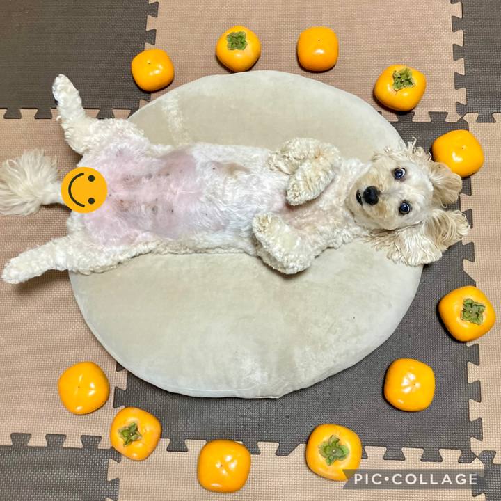 16ab8253 e280 4642 a54a 5857781d955e 1761013181798