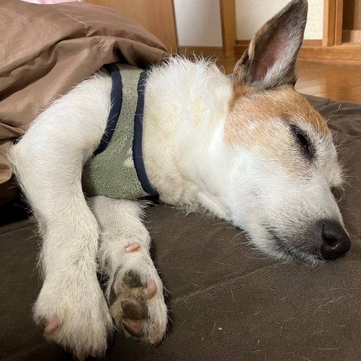 16ab8ce5 9910 4560 b3eb e97af0145881 1710292370089